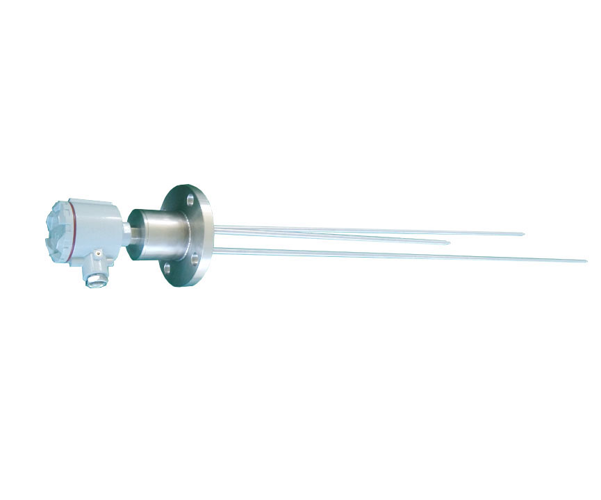 RD-DDK型系列插入式電極液位控制器/液位開關(guān)--單點/多點
